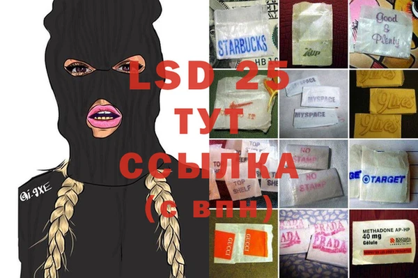 PSILOCYBIN Иннополис