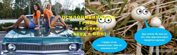 дживик Медногорск