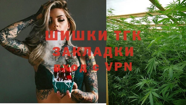 эйфоретик Янаул