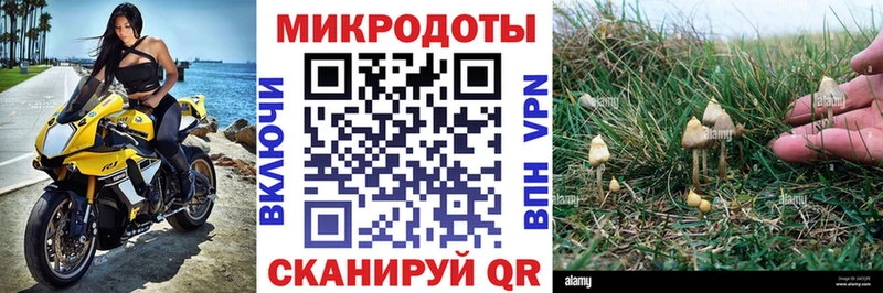 Галлюциногенные грибы Psilocybine cubensis  как найти   Кимовск 