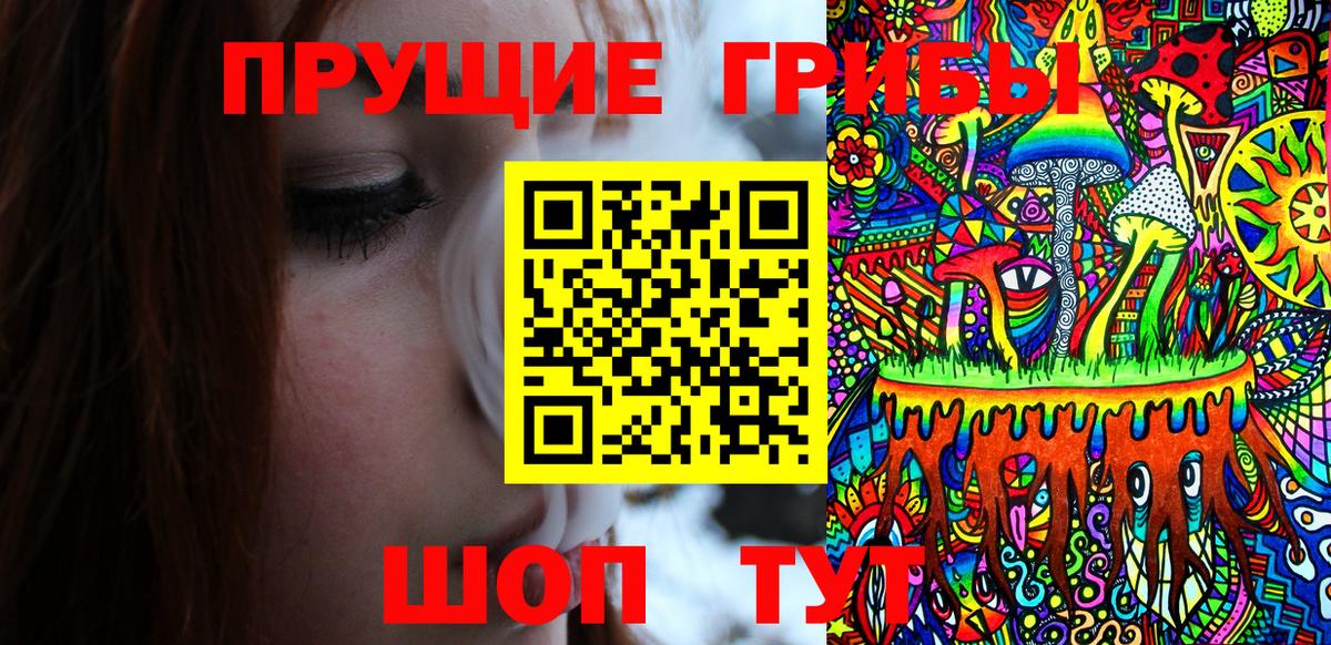 Псилоцибиновые грибы ЛСД  Вход с VPN  Кимовск  Галлюциногенные грибы Psilocybe 
