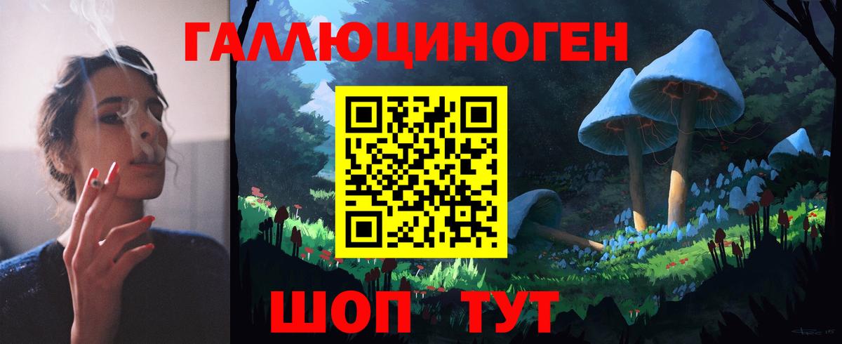 Псилоцибиновые грибы Psilocybe Кимовск